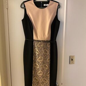 Calvin Klein Black and Pink Lace Dress